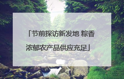 节前探访新发地 粽香浓郁农产品供应充足
