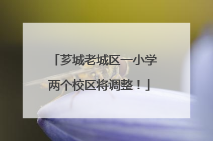 芗城老城区一小学两个校区将调整！
