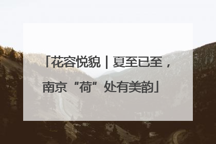 花容悦貌｜夏至已至，南京“荷”处有美韵