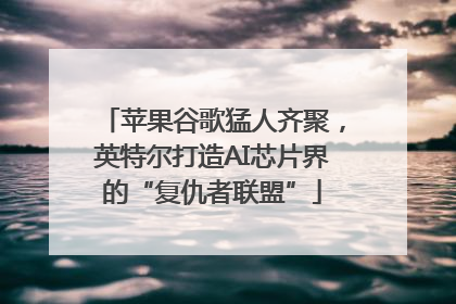 苹果谷歌猛人齐聚，英特尔打造AI芯片界的“复仇者联盟”