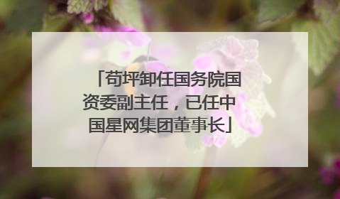 苟坪卸任国务院国资委副主任，已任中国星网集团董事长