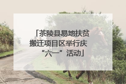茶陵县易地扶贫搬迁项目区举行庆“六一”活动