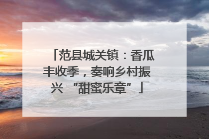 范县城关镇：香瓜丰收季，奏响乡村振兴 “甜蜜乐章”