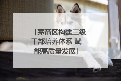 茅箭区构建三级干部培养体系 赋能高质量发展