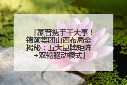 蒙晋携手干大事！锦颐集团山西布局全揭秘：五大品牌矩阵+双轮驱动模式