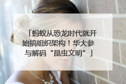 蚂蚁从恐龙时代就开始搞组织架构！华大参与解码“昆虫文明”