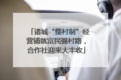 诸城“整村制”经营铺就富民强村路，合作社迎来大丰收