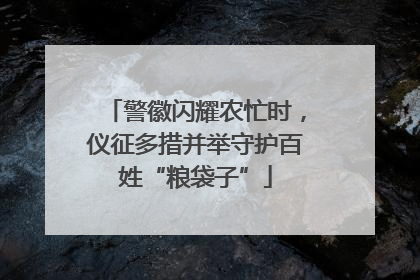 警徽闪耀农忙时，仪征多措并举守护百姓“粮袋子”