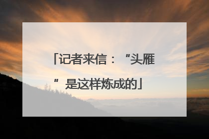 记者来信：“头雁”是这样炼成的