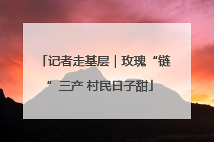 记者走基层｜玫瑰“链”三产 村民日子甜
