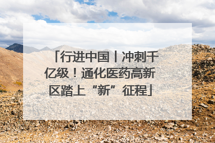 行进中国丨冲刺千亿级！通化医药高新区踏上“新”征程