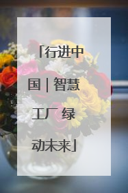 行进中国｜智慧工厂 绿动未来