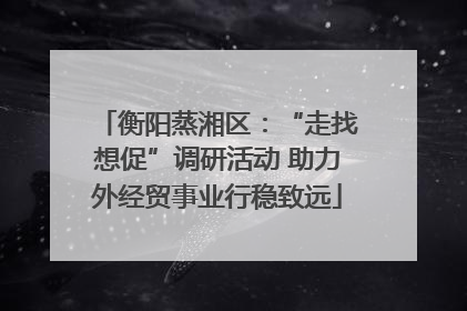 衡阳蒸湘区：“走找想促”调研活动 助力外经贸事业行稳致远