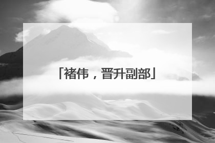 褚伟，晋升副部