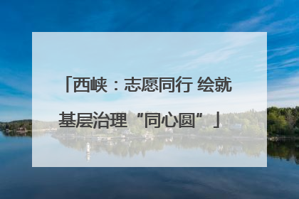 西峡：志愿同行 绘就基层治理“同心圆”