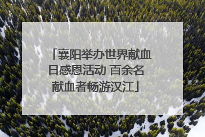 襄阳举办世界献血日感恩活动 百余名献血者畅游汉江