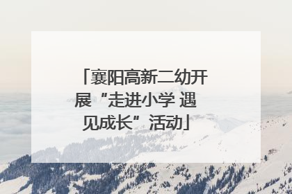 襄阳高新二幼开展“走进小学 遇见成长”活动