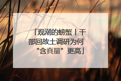 观潮的螃蟹丨干部回故土调研为何“含真量”更高
