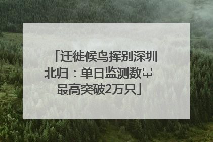 迁徙候鸟挥别深圳北归：单日监测数量最高突破2万只