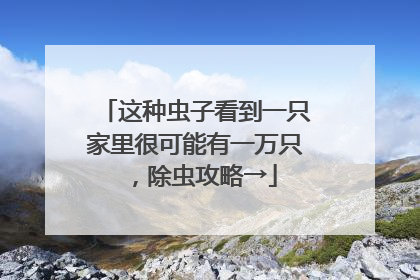 这种虫子看到一只家里很可能有一万只，除虫攻略→