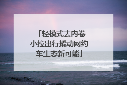 轻模式去内卷 小拉出行撬动网约车生态新可能