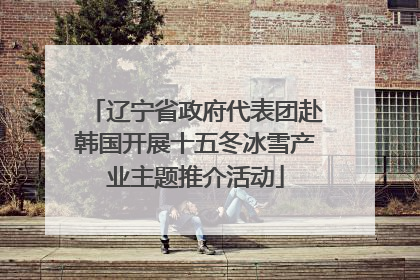 辽宁省政府代表团赴韩国开展十五冬冰雪产业主题推介活动