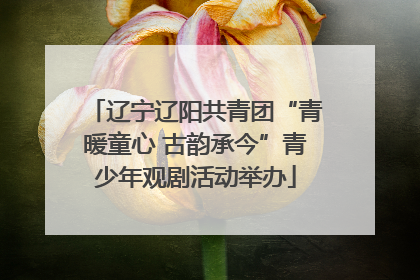 辽宁辽阳共青团“青暖童心 古韵承今”青少年观剧活动举办