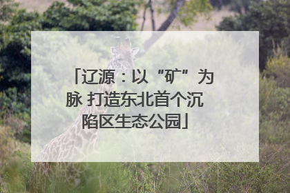 辽源：以“矿”为脉 打造东北首个沉陷区生态公园