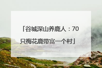 谷城深山养鹿人：70只梅花鹿带富一个村
