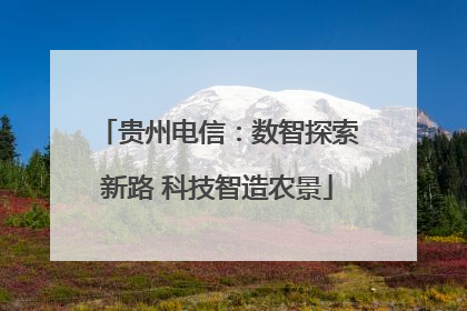 贵州电信：数智探索新路 科技智造农景