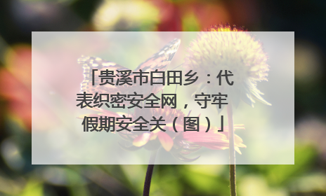贵溪市白田乡：代表织密安全网，守牢假期安全关（图）