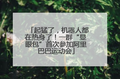起猛了，机器人都在热身了！一群“显眼包”首次参加阿里巴巴运动会