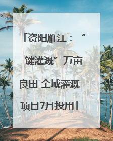 资阳雁江：“一键灌溉”万亩良田 全域灌溉项目7月投用