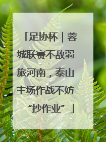 足协杯｜蓉城联赛不敌弱旅河南，泰山主场作战不妨“抄作业”