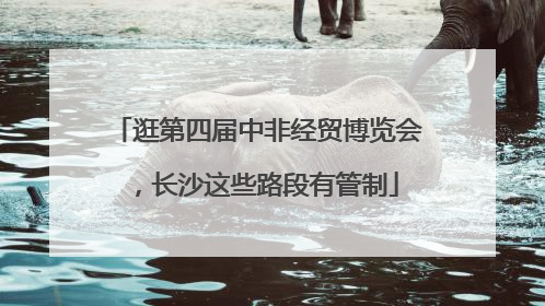 逛第四届中非经贸博览会，长沙这些路段有管制
