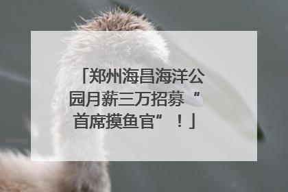 郑州海昌海洋公园月薪三万招募“首席摸鱼官”！