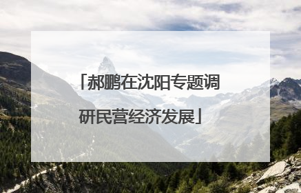 郝鹏在沈阳专题调研民营经济发展