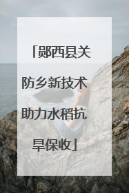 郧西县关防乡新技术助力水稻抗旱保收