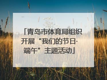 青岛市体育局组织开展“我们的节日·端午”主题活动