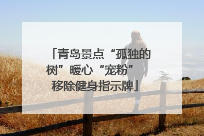 青岛景点“孤独的树”暖心“宠粉” 移除健身指示牌
