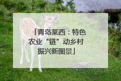 青岛莱西：特色农业“链”动乡村振兴新图景