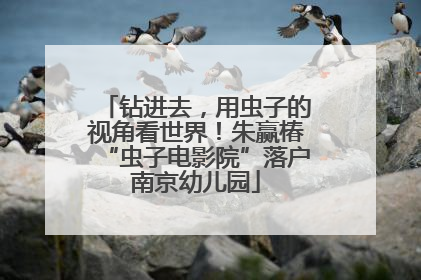 钻进去，用虫子的视角看世界！朱赢椿“虫子电影院”落户南京幼儿园