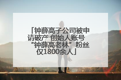 钟薛高子公司被申请破产 创始人账号“钟薛高老林”粉丝仅1800余人