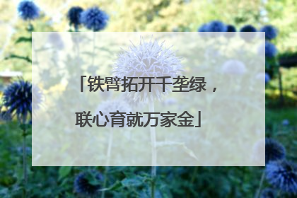 铁臂拓开千垄绿，联心育就万家金
