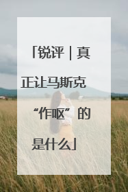 锐评｜真正让马斯克“作呕”的是什么