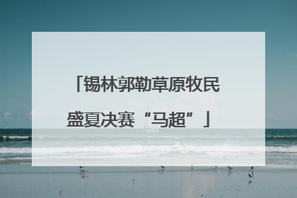 锡林郭勒草原牧民盛夏决赛“马超”