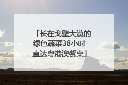 长在戈壁大漠的绿色蔬菜38小时直达粤港澳餐桌