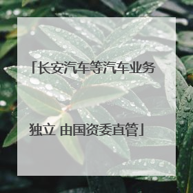 长安汽车等汽车业务独立 由国资委直管