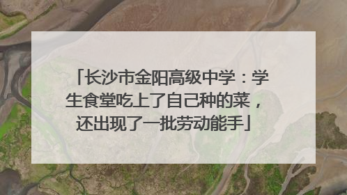 长沙市金阳高级中学：学生食堂吃上了自己种的菜，还出现了一批劳动能手