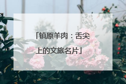镇原羊肉：舌尖上的文旅名片